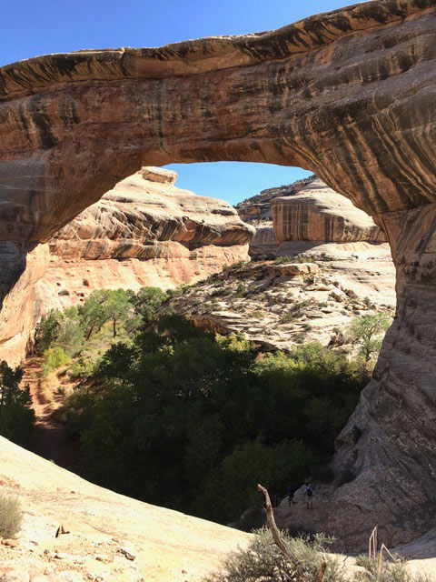 Natural bridges formed by rock